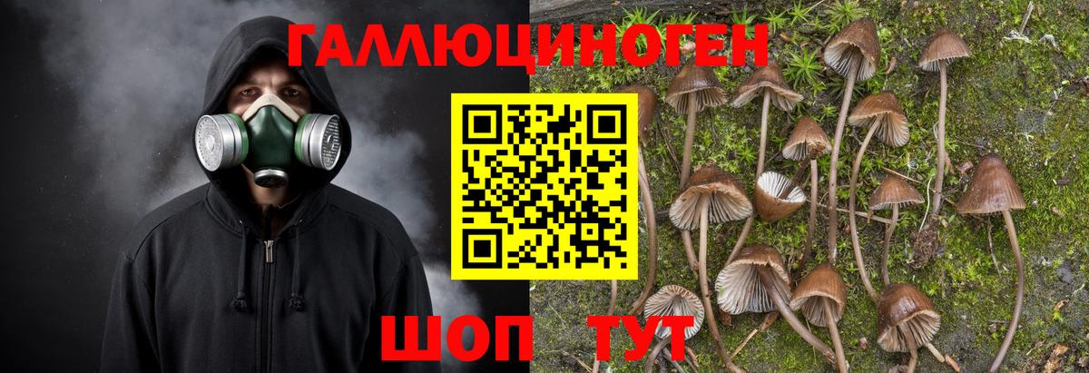 Псилоцибиновые грибы ЛСД  Вход с VPN  Псилоцибиновые грибы Magic Shrooms  Рославль 